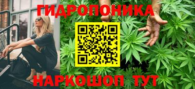 PSILOCYBIN Будённовск