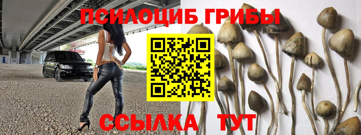 Галлюциногенные грибы прущие грибы  Вход с VPN  Псилоцибиновые грибы прущие грибы  Новокуйбышевск 