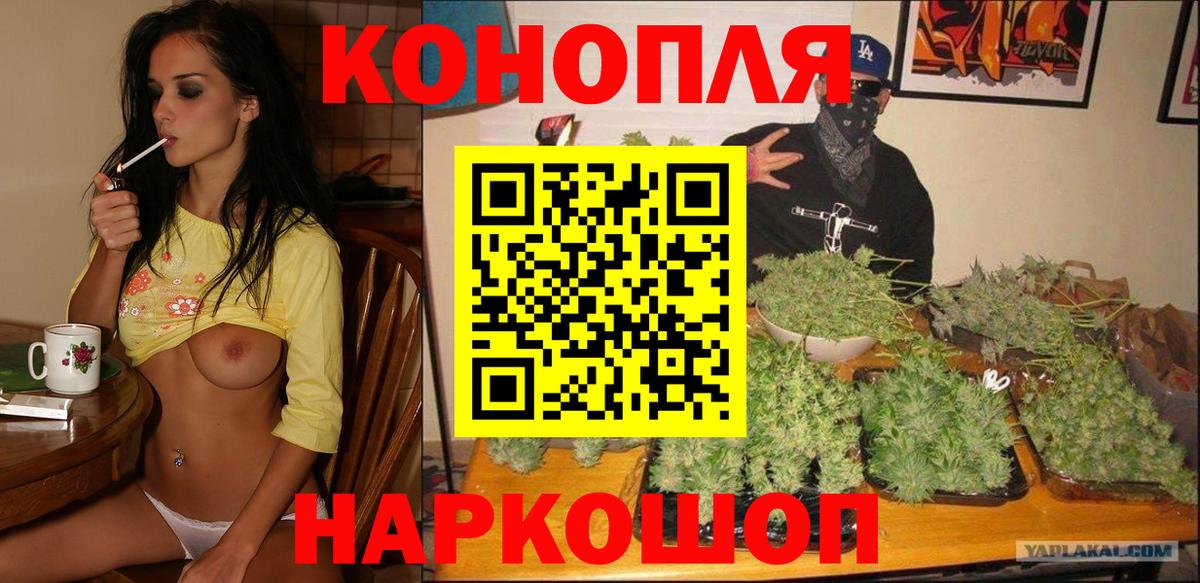 Бошки марихуана план Новокуйбышевск